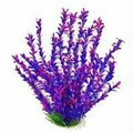 Aquatop Aquatic Supplies -Hygro-like Aquarium Plant- Pink-purple 16 Inch 3499